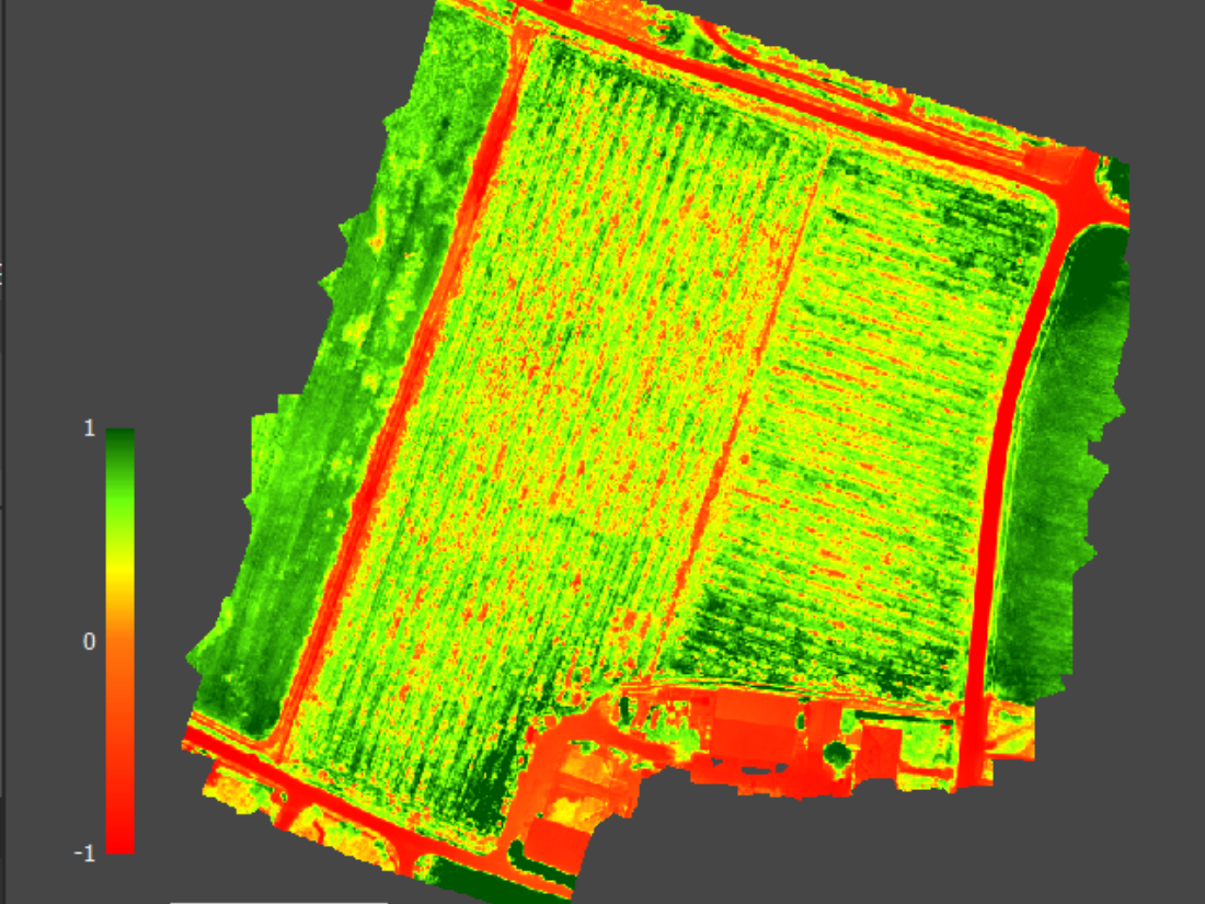 Mappa NDVI