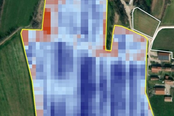 Analisi NDVI report GIS o software agronomici