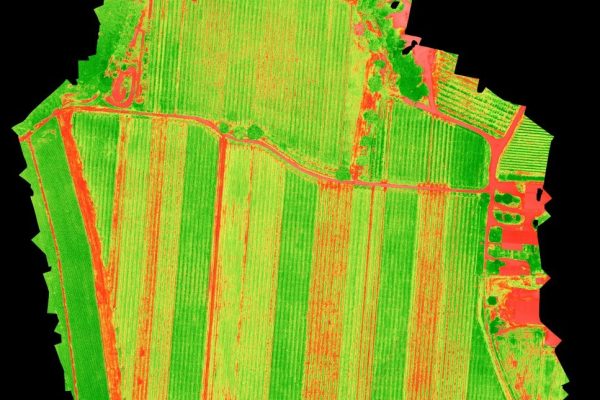 Mappa aerea analisi NDVI